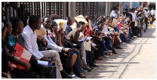 Youth facing employment challenges